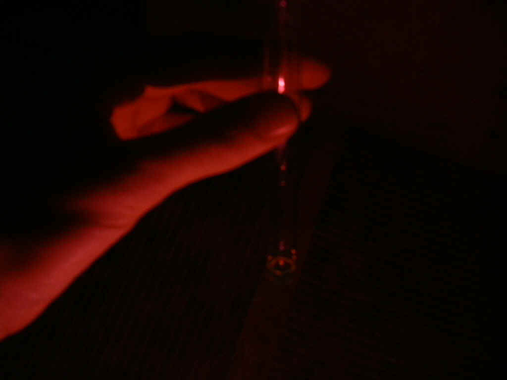 DSCN0500.JPG (130239 Byte)