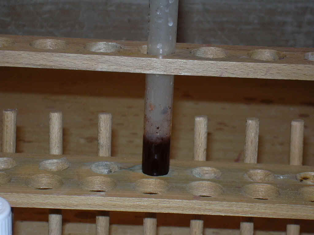 DSCN0104.JPG (227766 Byte)