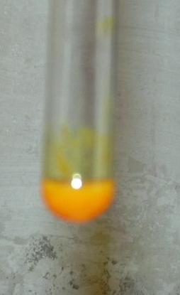 DSCN0161.JPG (192841 Byte)