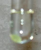 DSCN0465.JPG (198596 Byte)