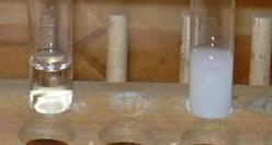 DSCN0584.JPG (225532 Byte)