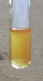 DSCN0439.JPG (191338 Byte)