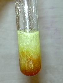 DSCN0318.JPG (170735 Byte)