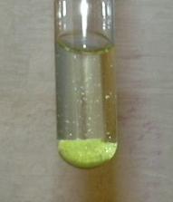 DSCN0319.JPG (177726 Byte)