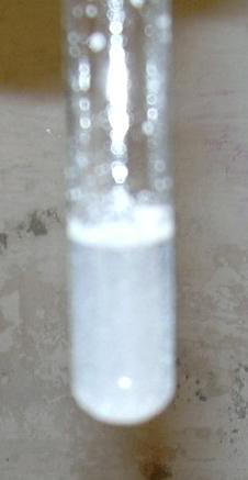 DSCN0285.JPG (197195 Byte)