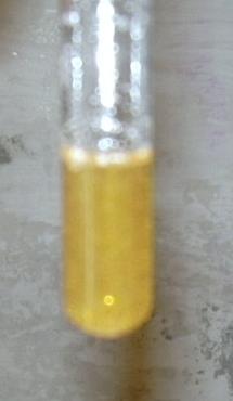 orange2_2.jpg (8398 Byte)