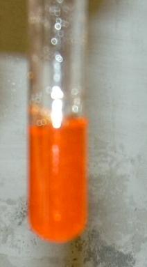 orange2_3.jpg (8812 Byte)