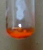 DSCN0571.JPG (182417 Byte)