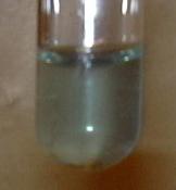 DSCN0587.JPG (177479 Byte)